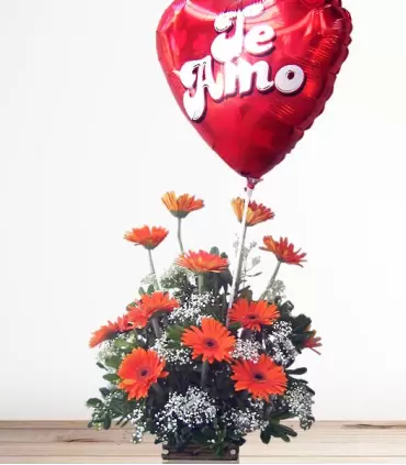 Base de madera con 12 gerberas, follaje y globo "Te Amo".
