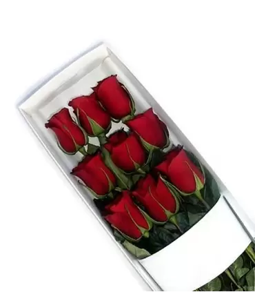 Caja con 9 rosas rojas