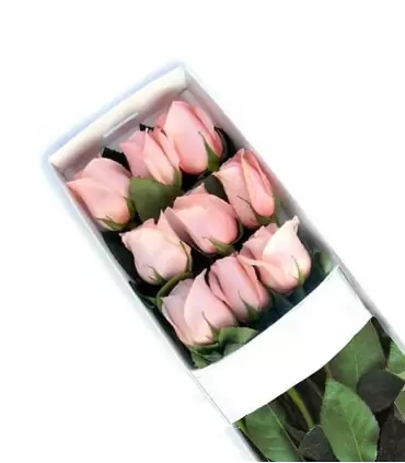 Caja con 9 rosas rosadas frescas y delicadas.