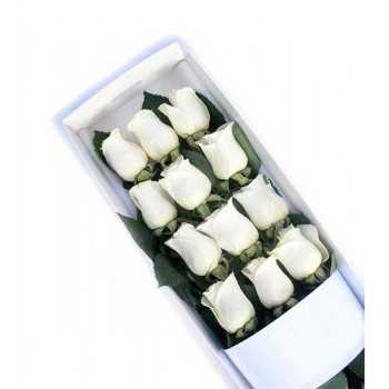 1 Caja, 12 Rosas Blancas