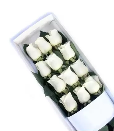 Caja con 12 rosas blancas frescas y elegantes.
