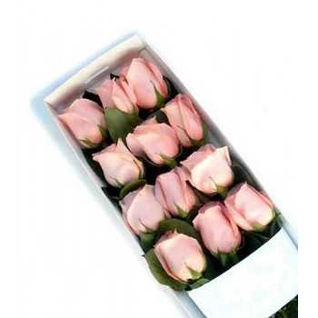 1 Caja, 12 Rosas Rosadas
