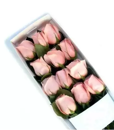Caja con 12 rosas rosadas para cualquier ocasión.