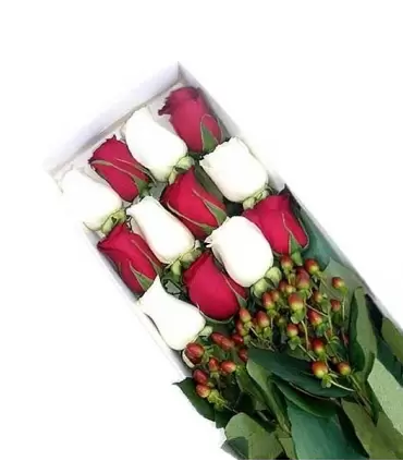 Caja con 12 rosas rojas y blancas.
