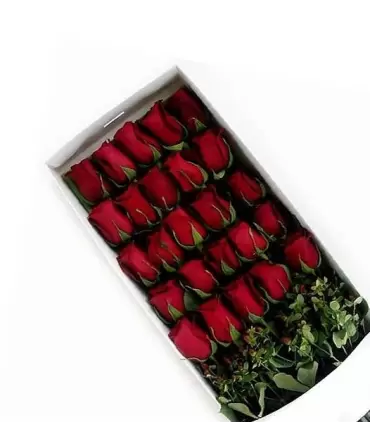 Caja con 25 rosas rojas.