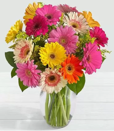 Florero con 18 gerberas surtidas.