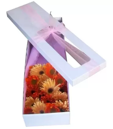 Caja con 18 gerberas surtidas.