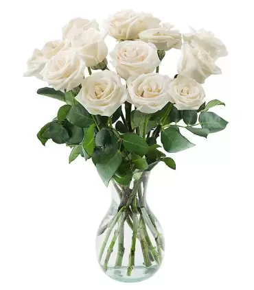 Florero con 12 rosas blancas frescas, perfectas para cualquier ocasión.