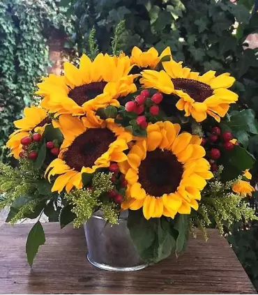 Balde metálico con 10 girasoles, hypericum y solidago frescos.