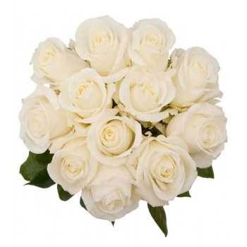 1 Ramo, 12 Rosas Blancas