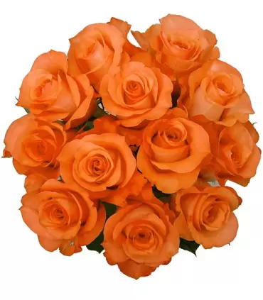 Ramo de 12 rosas naranjas, una opción ideal para sorprender.