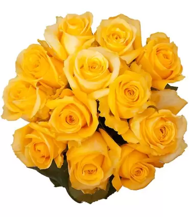 Ramo de 12 rosas amarillas, un símbolo de amistad y buenos deseos.