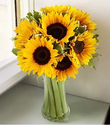 Florero con 8 girasoles.