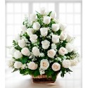 Canasta con 36 rosas blancas fúnebres.