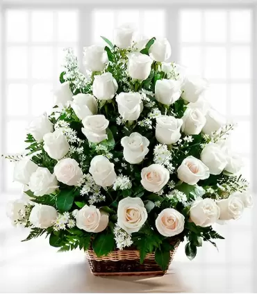 Canasta con 36 rosas blancas fúnebres.
