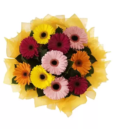 Ramo con 10 gerberas surtidas.