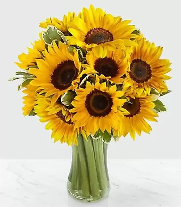 Florero con 10 girasoles frescos y brillantes.