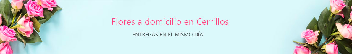Descubre la mejor florería en Cerrillos